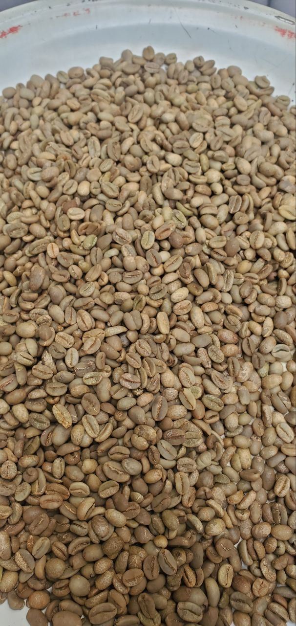 A close view of green coffee beans